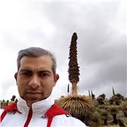 Entrenador personal y deportivo